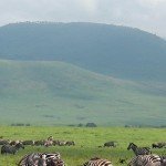 Tanzania is een land vol met natuur en cultuur