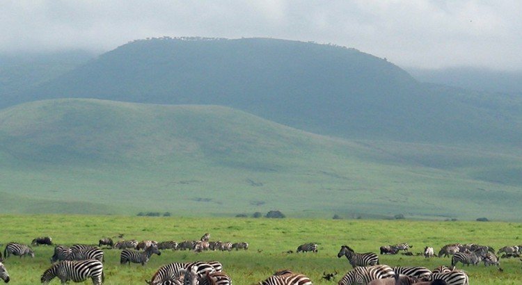 tanzania