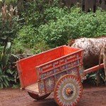 Costa Rica is een klein land met een prachtige natuur