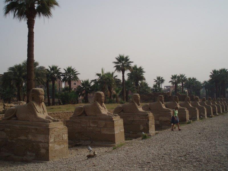 reis egypte 205