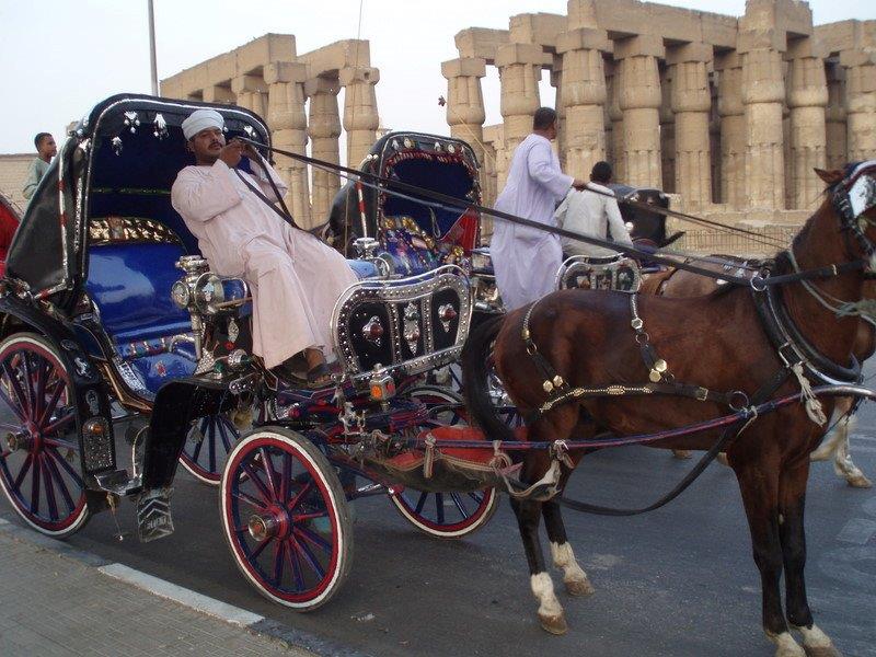 reis egypte 299