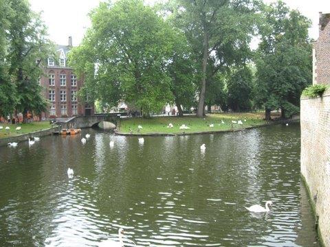 brugge 2010 014