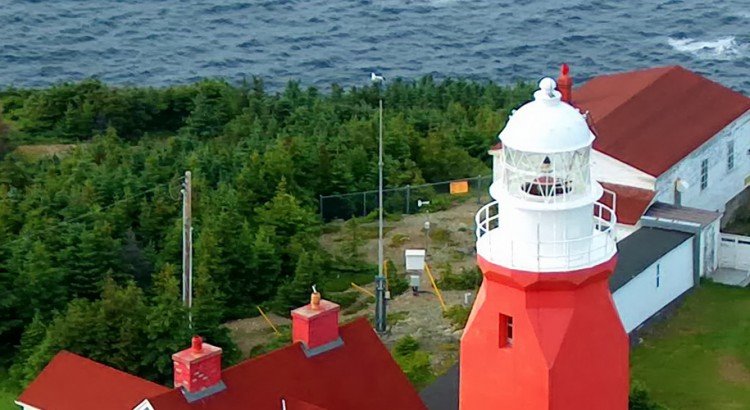 newfoundland